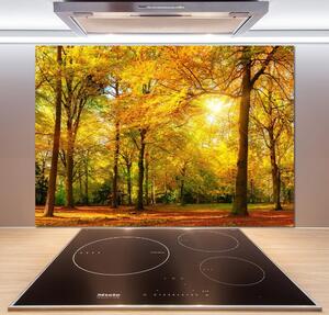Dekorační panel sklo Podzimní les pksh-89529230