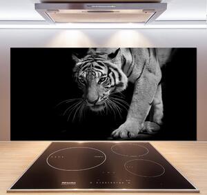 Skleněný panel do kuchyně Tygr pksh-89533463