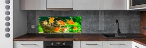 Dekorační panel sklo Zlaté rybky pksh-89540196