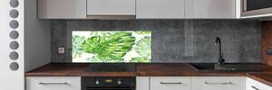 Panel do kuchyně Tropické listí pksh-89951925