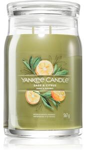 Yankee Candle Sage & Citrus vonná svíčka Signature 567 g