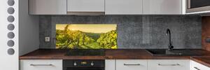 Skleněný panel do kuchyně Vinice pksh-90317015