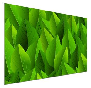 Panel do kuchyně Zelené listí pksh-90288454