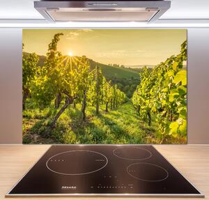 Skleněný panel do kuchyně Vinice pksh-90317015