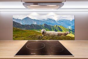 Panel do kuchyně Ovce v Alpách pksh-90327187