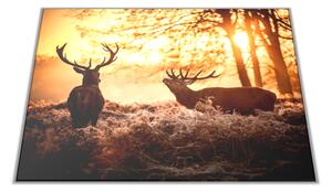 Skleněné prkénko jeleni v západu slunce - 30x20cm