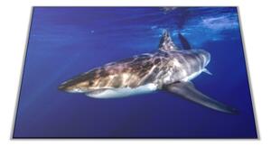 Skleněné prkénko žralok pod hladinou - 30x20cm