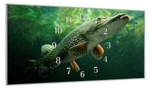 Nástěnné hodiny 30x60cm dravá ryba štika - plexi