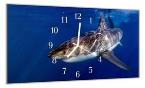 Nástěnné hodiny 30x60cm žralok pod hladinou - plexi