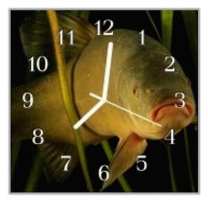 Nástěnné hodiny 30x30cm ryba lín - plexi