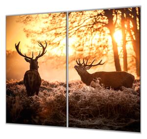 Ochranná deska jeleni v západu slunce - 52x60cm / Bez lepení na zeď