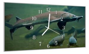 Nástěnné hodiny 30x60cm ryba jeseter - plexi