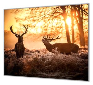 Ochranná deska jeleni v západu slunce - 50x70cm / Bez lepení na zeď