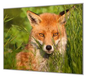Ochranná deska liška v trávě - 52x60cm / Bez lepení na zeď