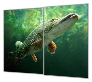 Ochranná deska ze skla ryba štika - 52x60cm / S lepením na zeď