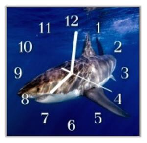 Nástěnné hodiny 30x30cm žralok pod hladinou - plexi