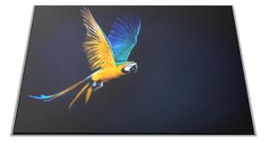 Skleněné prkénko letící papoušek Ara Ararauna - 30x20cm