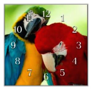 Nástěnné hodiny 30x30cm tulící se papoušek ara - plexi
