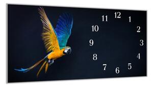Nástěnné hodiny 30x60cm letící papoušek - plexi