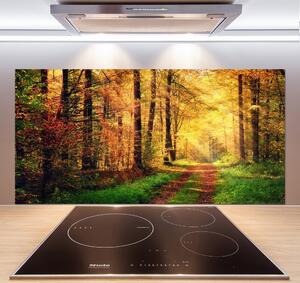 Dekorační panel sklo Podzimní les pksh-91078750