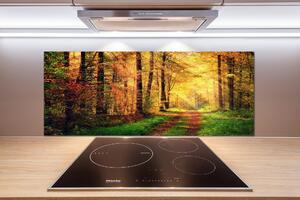 Dekorační panel sklo Podzimní les pksh-91078750