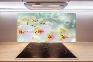 Panel do kuchyně Bílá orchidej pksh-91133337