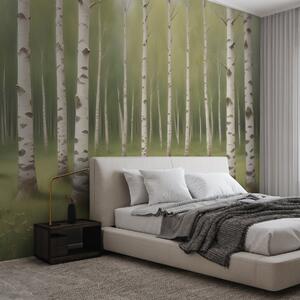 Fototapeta Cesta lesem, Fototapety s břízami, Populární fototapety, w02836 - Tapeko.co.cz