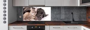 Dekorační panel sklo Pes s kočkou pksh-91792125