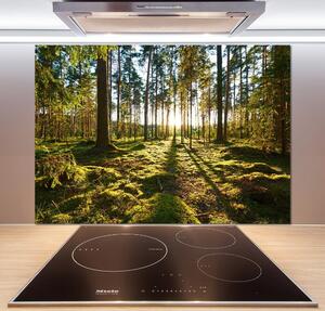 Dekorační panel sklo Sosnový les pksh-92027264