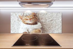 Panel do kuchyně Kočka ve svetru pksh-92307728