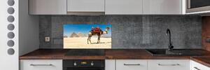 Panel do kuchyně Velbloud Káhira pksh-93235803