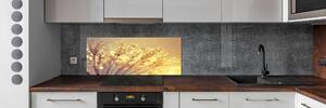 Panel do kuchyně Semeno pampelišky pksh-93546051