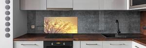 Panel do kuchyně Semeno pampelišky pksh-93546051