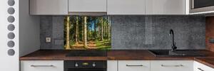 Panel do kuchyně Lesní panorama pksh-93946389