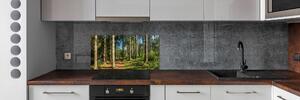 Panel do kuchyně Lesní panorama pksh-93946389