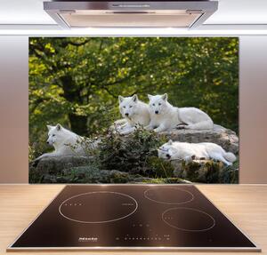 Panel do kuchyně Bílí vlci a skála pksh-93949837