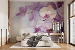 Fototapeta Jemné orchideje v jemných odstínech, Květinové fototapety, Populární fototapety, w02910 - Tapeko.co.cz