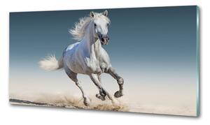 Panel lacobel Bílý kůň ve cvalu pksh-95257889