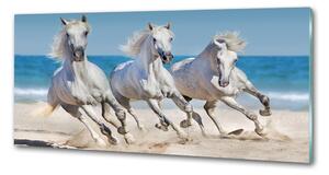 Panel do kuchyně Bílí koně pláž pksh-95257914