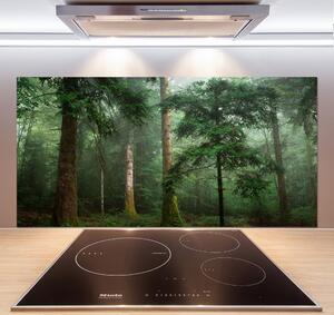Dekorační panel sklo Mlha v lese pksh-95330664