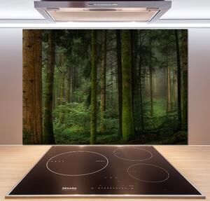 Dekorační panel sklo Mlha v lese pksh-95353064