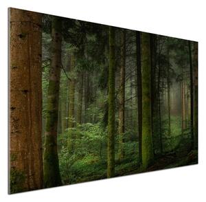 Dekorační panel sklo Mlha v lese pksh-95353064