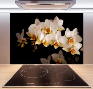 Skleněný panel do kuchynské linky Orchidej pksh-95410450