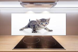 Skleněný panel do kuchynské linky Malá kočka pksh-95620650