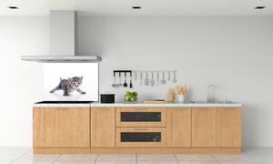 Skleněný panel do kuchynské linky Malá kočka pksh-95620650