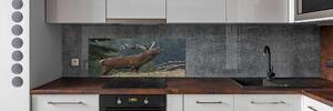 Panel do kuchyně Jelen na kopci pksh-9653240