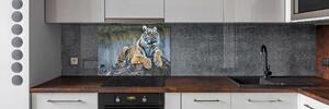 Skleněný panel do kuchyně Tygr pksh-97013441