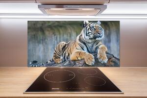 Skleněný panel do kuchyně Tygr pksh-97013441
