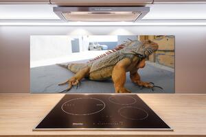 Skleněný panel do kuchyně Iguana pksh-97700993