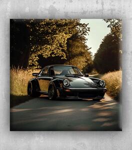Obraz Porsche na cestě 02